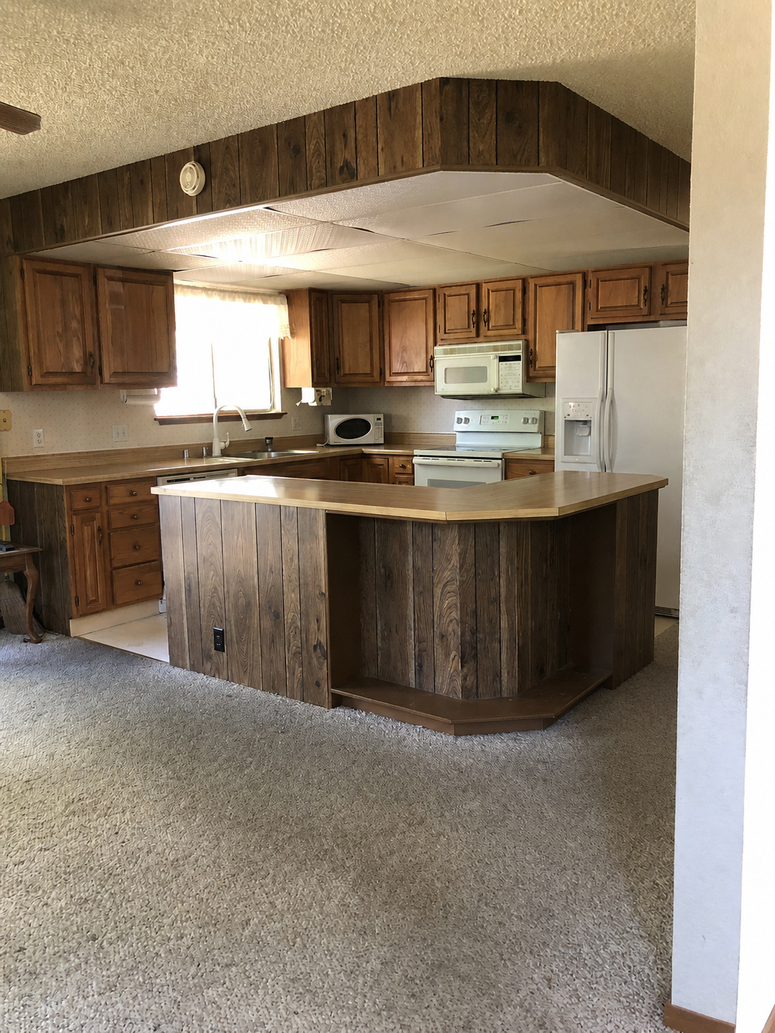 Kitchen before renovation